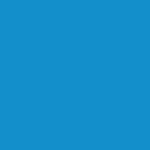 BIKINI-BLUE | Halogen Supply Company